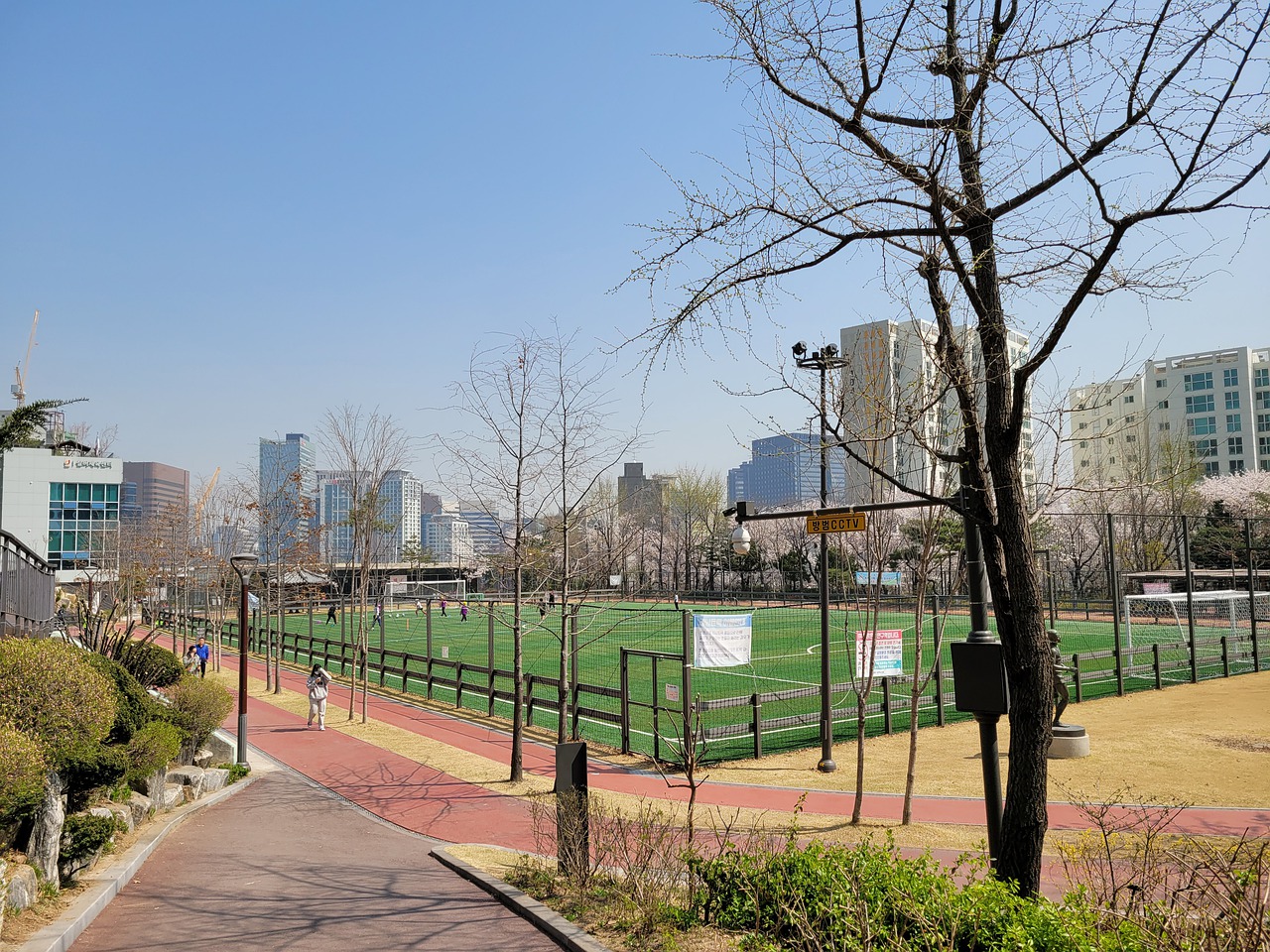 泛報導