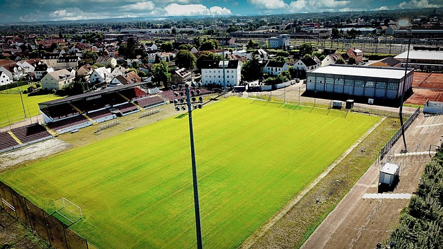 季对曼城的 季对曼城的