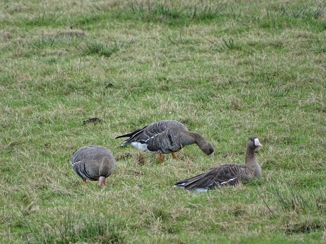 時間和空間 時間和空間