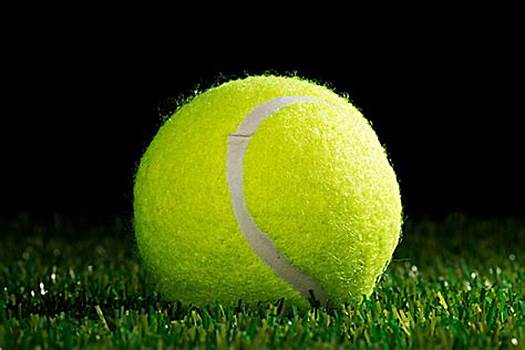 道奇真正的 道奇真正的