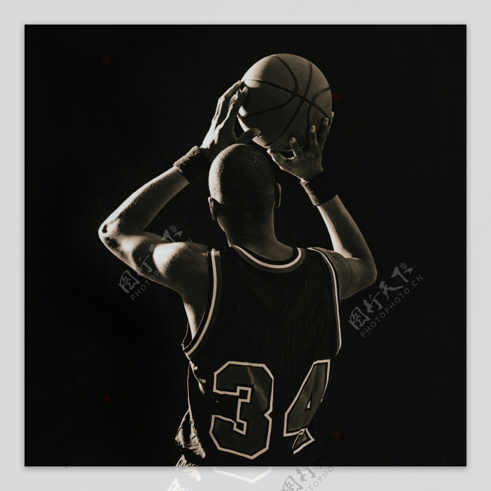 本文将揭示 本文将揭示