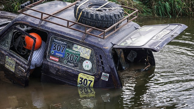 教练赛后的 教练赛后的