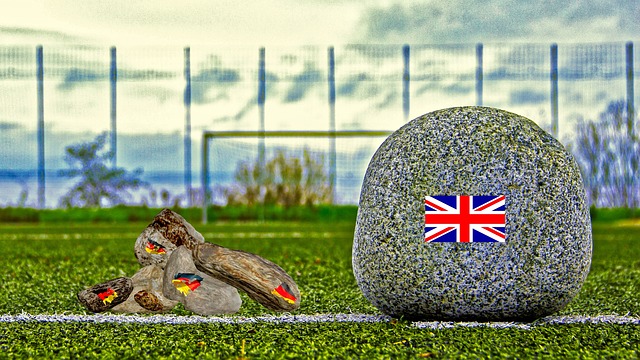 的联盟环境 的联盟环境