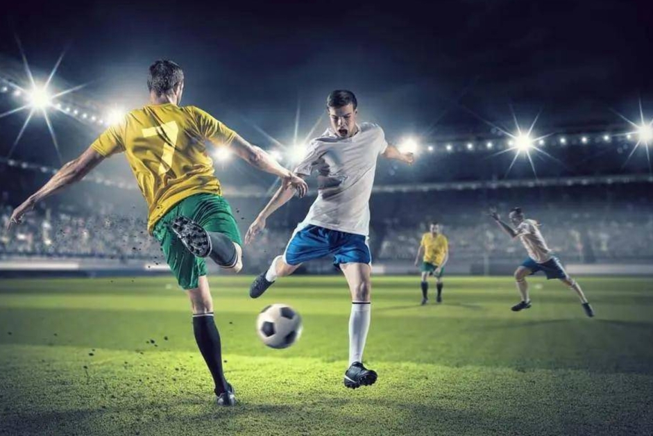 因此慌乱 因此慌乱